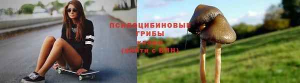 ГАЛЛЮЦИНОГЕННЫЕ ГРИБЫ Абдулино