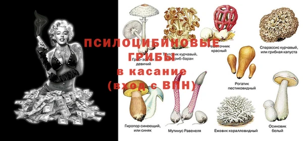 кокс Абаза